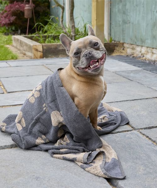 Jumbo Terry Dog Towel (with Embroidery)