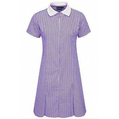 Gingham Dress - Avon