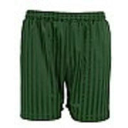Shadow Stripe Short