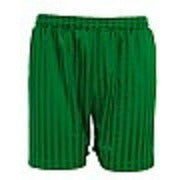 Shadow Stripe Short