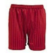 Shadow Stripe Short