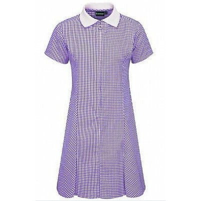 Gingham Dress - Avon