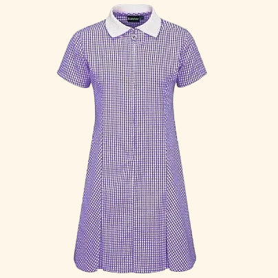 Gingham Dress - Avon Blue