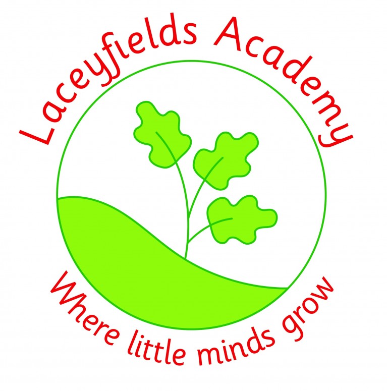 Laceyfields academy