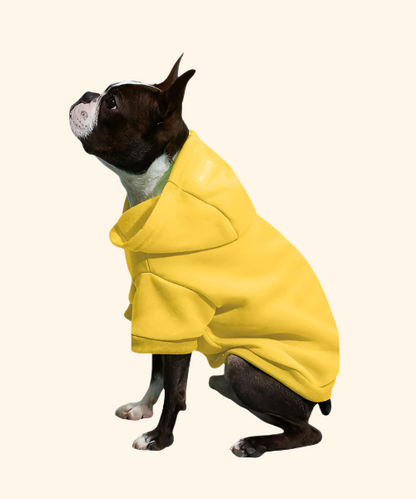 Dog/Cat Hoodie Sweatshirt