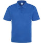 Blue Polyester Polo - Swanwick School and Sports College