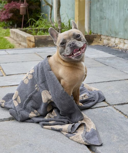 Jumbo Terry Dog Towel (with Embroidery)