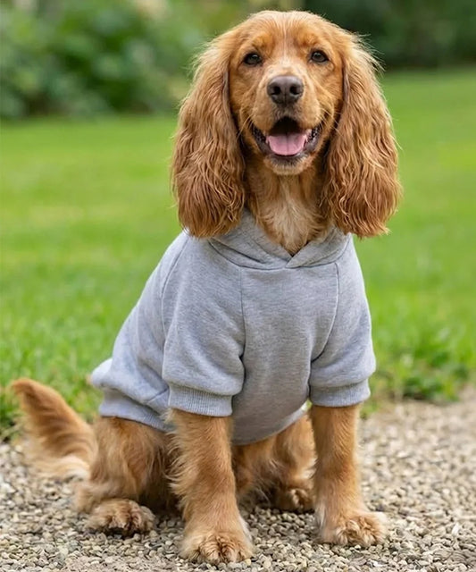 Portman & Pooch Hoodie Sweatshirt