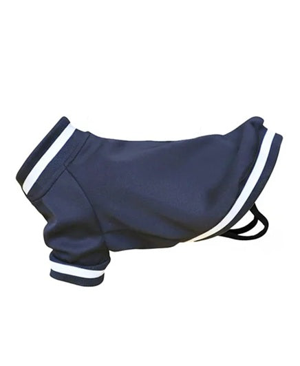 Portman & Pooch Hoodie Varsity Jacket