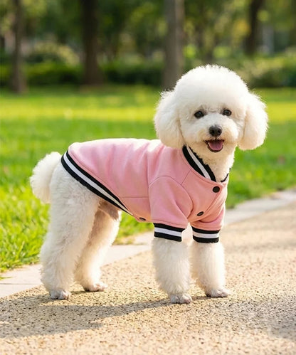 Portman & Pooch Hoodie Varsity Jacket