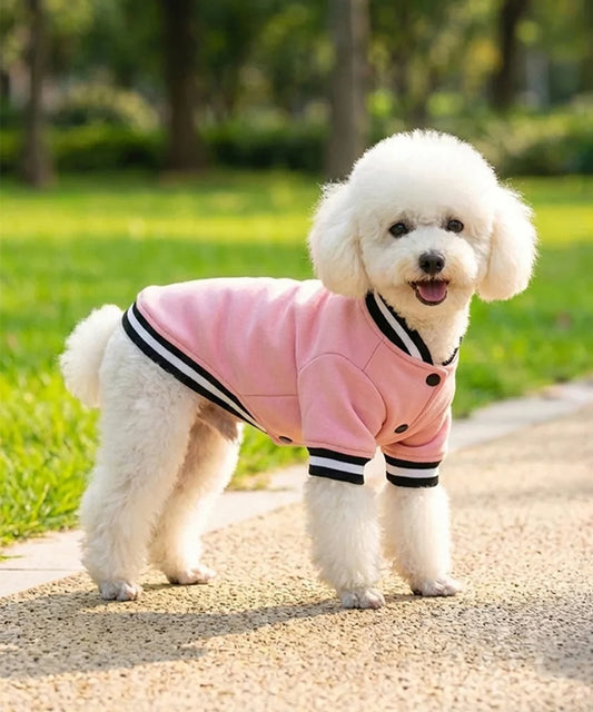 Portman & Pooch Hoodie Varsity Jacket