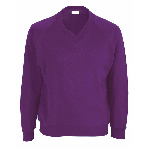Florence Nightingale - Purple V-Neck Sweatshirt