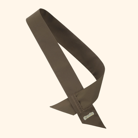 Brownies Sash