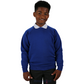 new-sweatshirt-age-2-14-cotmanhay-junior-school-royal-blue